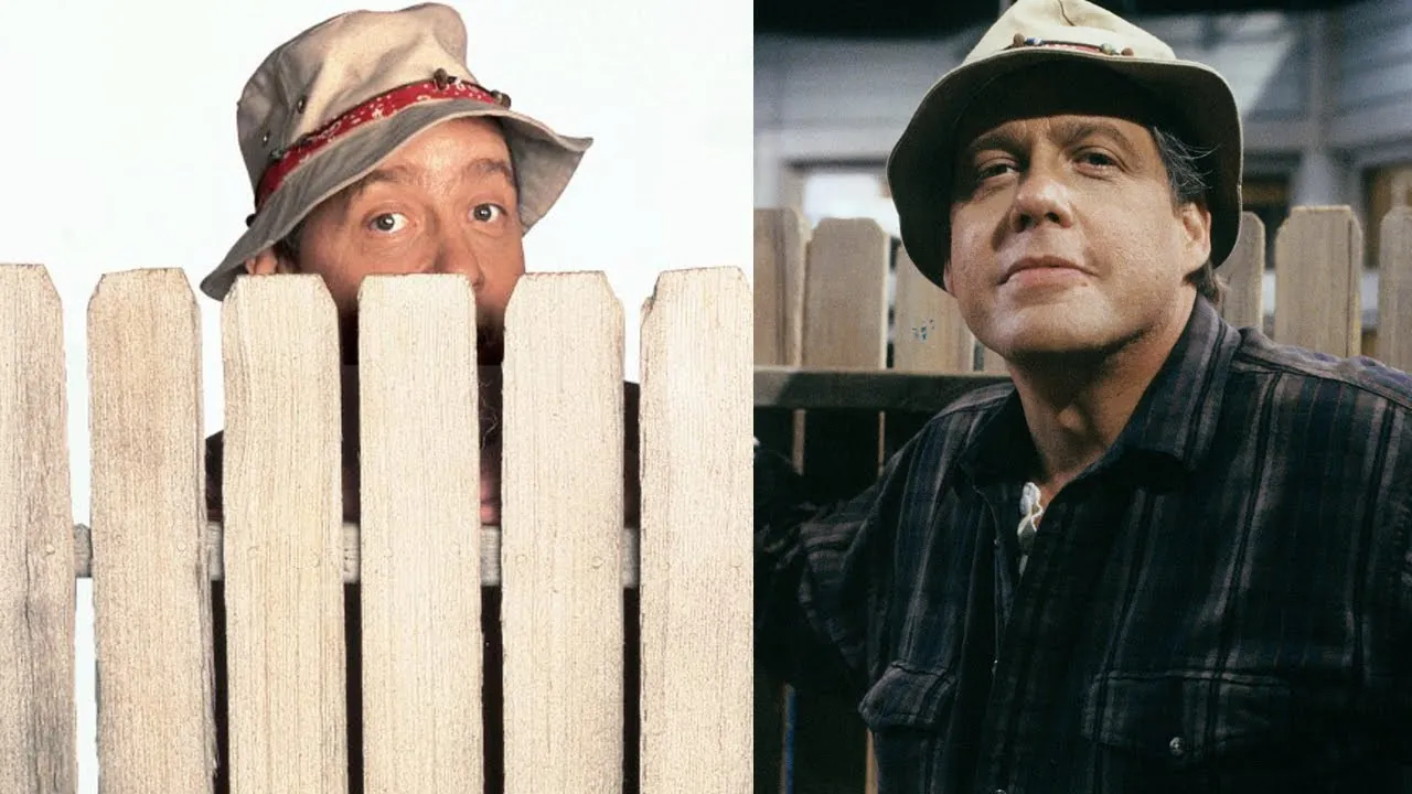 Who Plays Wilson in Home Improvement Who Plays Wilson in Home