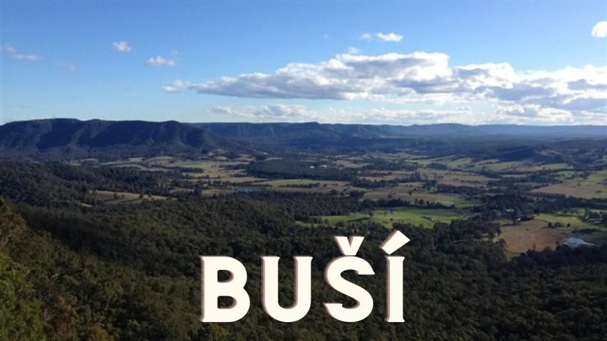Buší: Unveiling the Many Meanings of a Word 83 Is "Buší" Offensive?