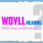 What Does WDYLL Mean