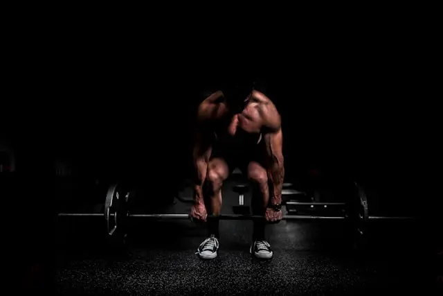 Getting Started with Muscle Building