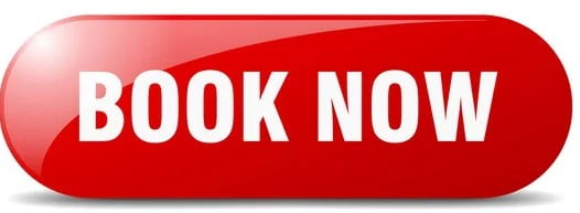 depositphotos 367428968 stock illustration book now button book now