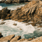 image 22