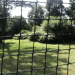 image1 8
