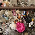 Junk Removal Company
