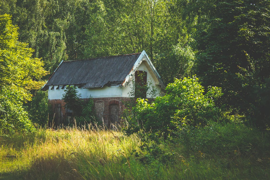 pexels-photo-1729156