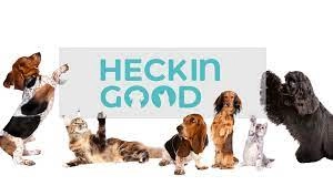 What the Heckin Dog" in Internet Slang 2 What the heckin dog
