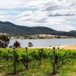 Best Wine Experiences Hobart Tasmania