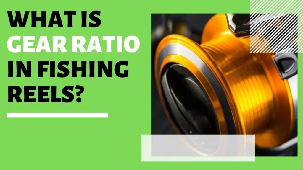 Gear Ratios mean in Fishing Reels