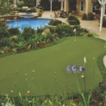 Transform Your Backyard
