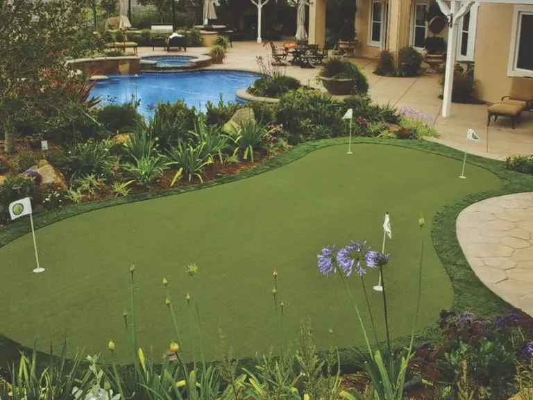 Transform Your Backyard Transform Your Backyard