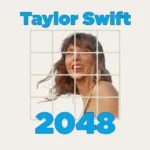 2048 Taylor Swift