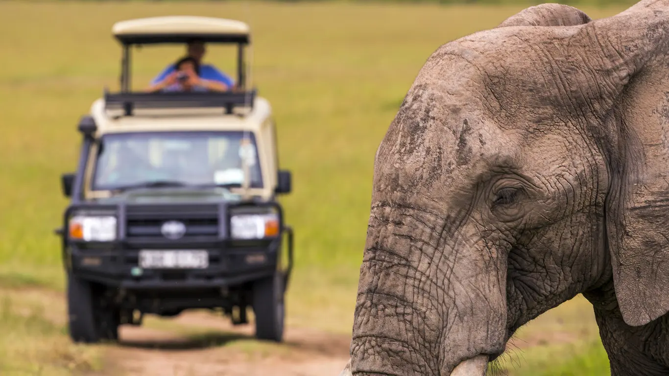 African Safari African Safari