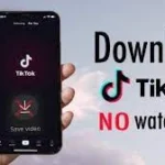 Download TikTok Videos Without Watermarks