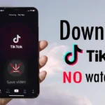 Download TikTok Videos Without Watermark for Free