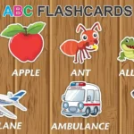 Flashcards