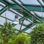 steel greenhouse
