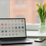 Calendly Integrations