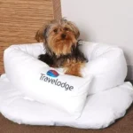do travel lodges allow dogs