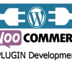 WooCommerce Plugin Custom Development