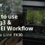 Why is Gamma Display Assist Grayed Out with Cine El