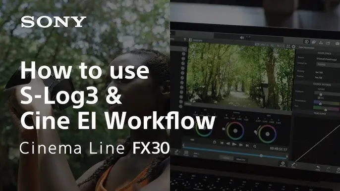 Why is Gamma Display Assist Grayed Out with Cine El Why is Gamma Display Assist Grayed Out with Cine El