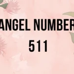 Angel Number 511