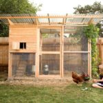 modern chicken coop plans 1024x768 1