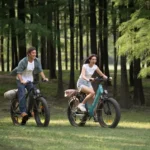 Fat-Tire E-Bike