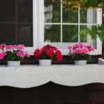 Flower Boxes Designed