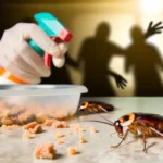 Cockroach Treatment in Romford