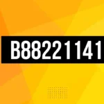 b88221141