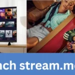 french stream.moe