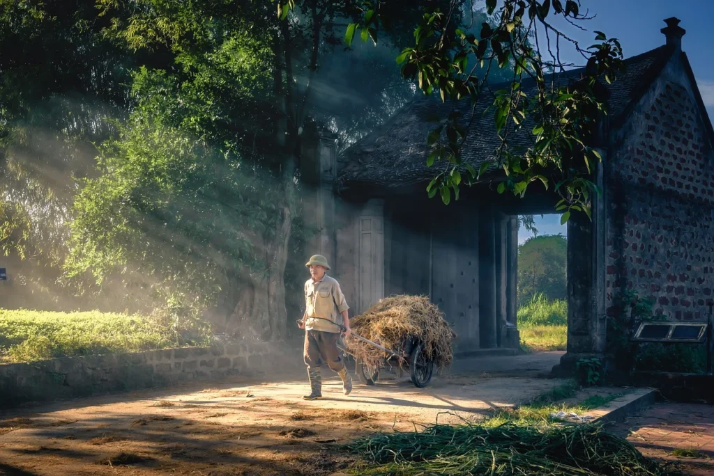 How Hackney’s Great Transport and Creative Scene Are Making It a Property Hotspot 87 straw transport 7948338 1280