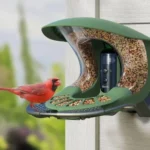 Smart Bird Feeder
