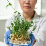 unnamed 2024 09 24T023514.441