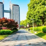 commercial landscaping houston lawncarespring.com