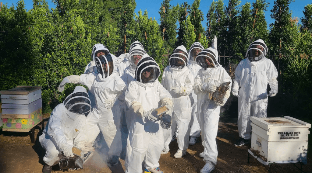 unnamed 2024 11 09T140347.535