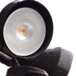 Floodlight Bulb