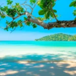 Tropical Destination