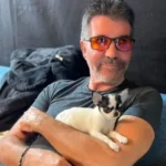 Simon Cowell Net Worth