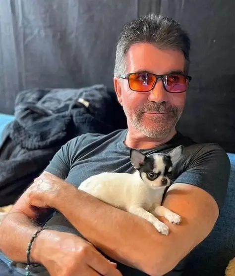 Simon Cowell Net Worth Revealed 2025 - Networkustad - Simon Cowell Net Worth: Talent Judge, Media Tycoon, Multi-Millionaire