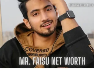 net worth of faisu