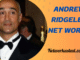 Andrew Ridgeley Net Worth