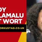 Troy Polamalu Net Worth