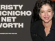 Kristy McNichol Net Worth