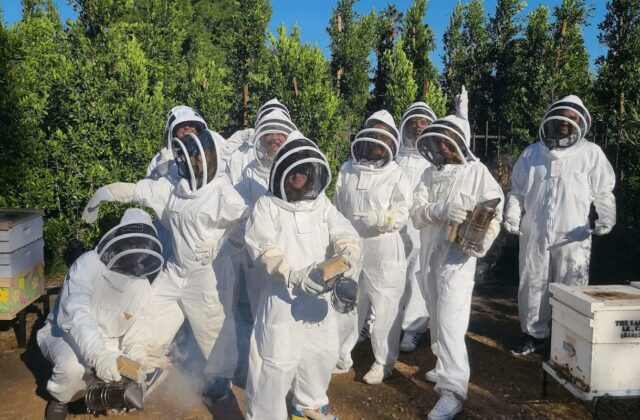Beekeeper Outfit Essentials: Everything You Need for a Safe and Comfortable Experience